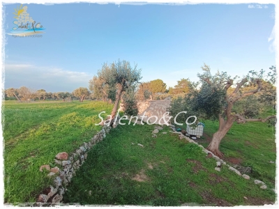 immagine annuncio 3 di 9