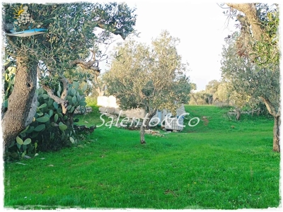 immagine annuncio 8 di 9