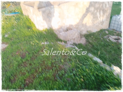 immagine annuncio 5 di 9