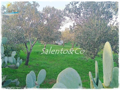 immagine annuncio 7 di 9