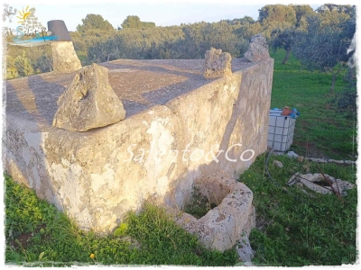 immagine annuncio 6 di 9