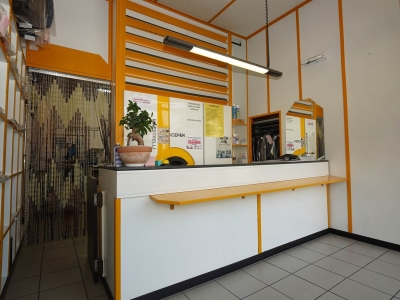 immagine annuncio 4 di 9