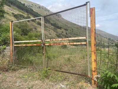 immagine annuncio 2 di 9