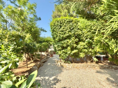 immagine annuncio 7 di 8