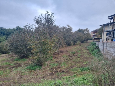 immagine annuncio 8 di 9