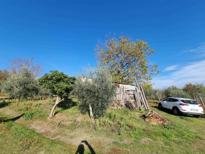 immagine annuncio 1 di 9