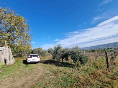 immagine annuncio 5 di 9