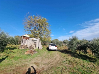 immagine annuncio 2 di 9