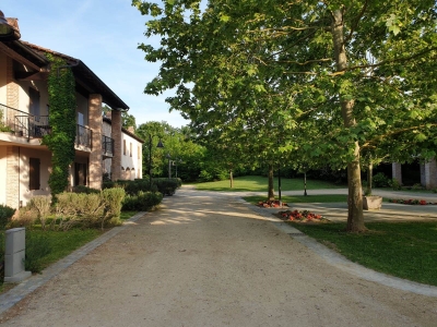 immagine annuncio 2 di 9