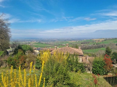 immagine annuncio 1 di 9
