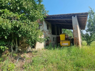 immagine annuncio 3 di 7