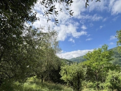 immagine annuncio 3 di 6