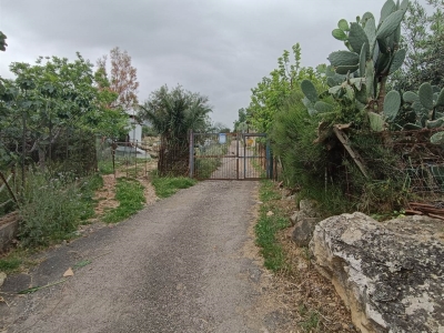 immagine annuncio 2 di 9