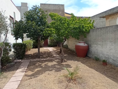 immagine annuncio 3 di 9