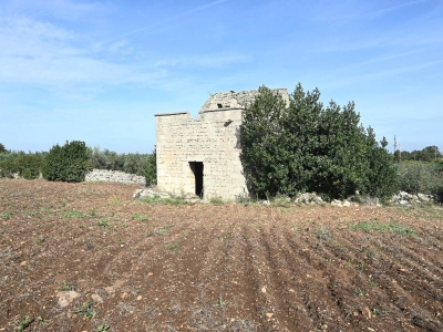 immagine annuncio 3 di 9