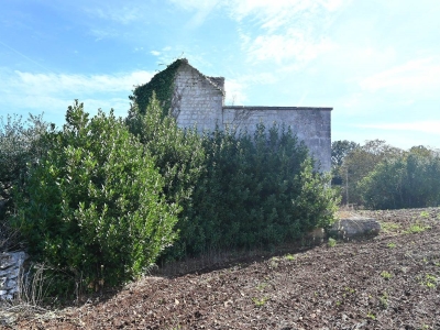 immagine annuncio 4 di 9