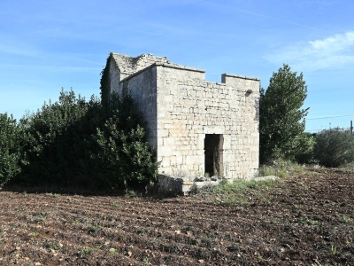 immagine annuncio 1 di 9