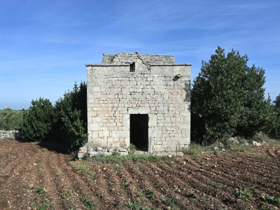 immagine annuncio 2 di 9