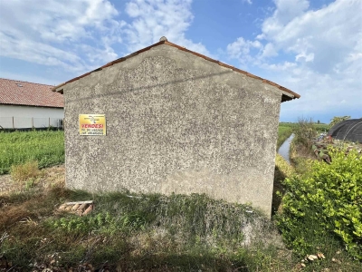immagine annuncio 7 di 8