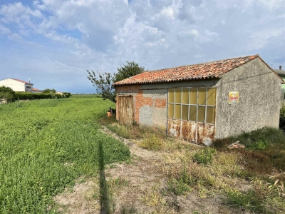 immagine annuncio 2 di 8