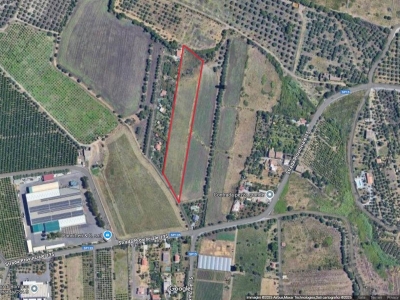 terreno agricolo in vendita a Belpasso