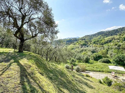 immagine annuncio 7 di 9