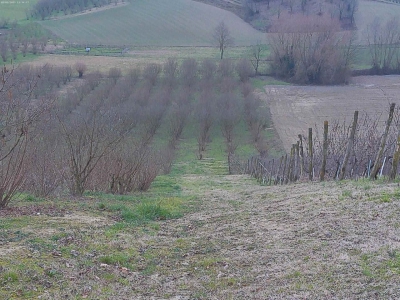 immagine annuncio 8 di 9