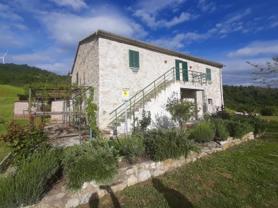 immagine annuncio 6 di 9