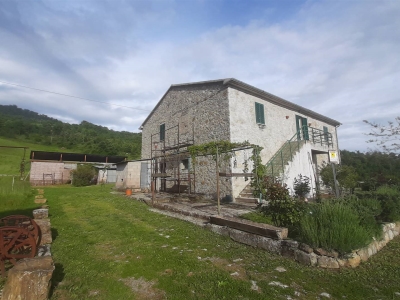 immagine annuncio 4 di 9