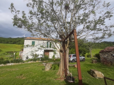 immagine annuncio 5 di 9