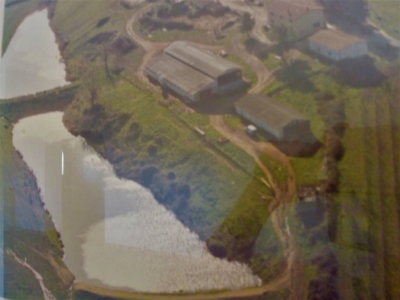 immagine annuncio 1 di 9