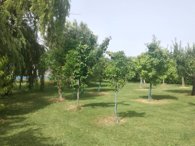 immagine annuncio 8 di 9