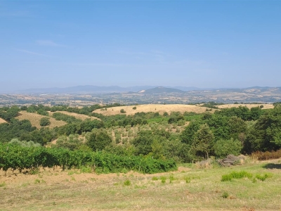 immagine annuncio 7 di 9