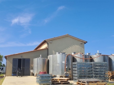 immagine annuncio 1 di 9