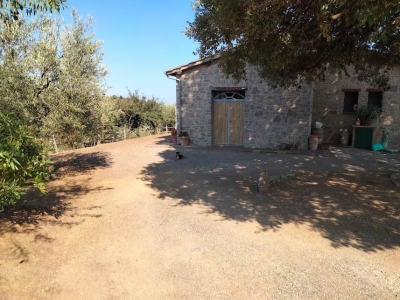 immagine annuncio 3 di 9