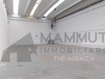 immagine annuncio 5 di 9