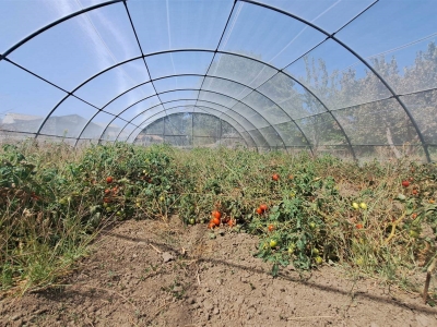 immagine annuncio 8 di 9