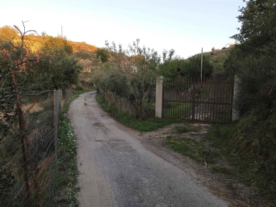immagine annuncio 3 di 9
