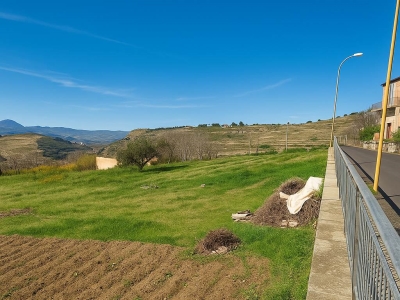 terreno agricolo in vendita ad Assoro