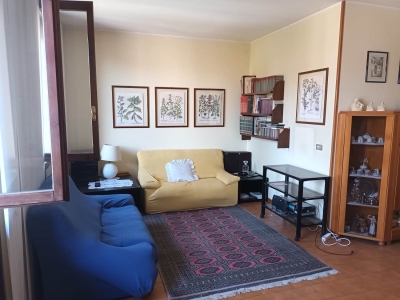 immagine annuncio 1 di 9