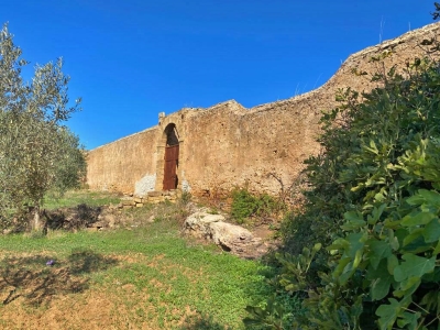 immagine annuncio 4 di 9
