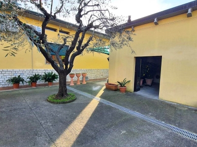 immagine annuncio 4 di 9