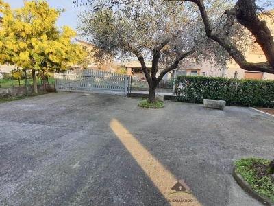 immagine annuncio 3 di 9