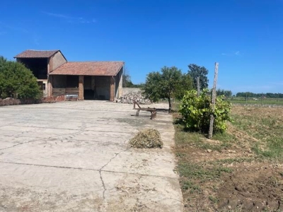 immagine annuncio 2 di 9