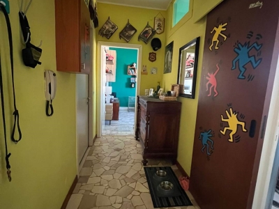 immagine annuncio 1 di 9