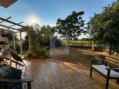 immagine annuncio 8 di 9