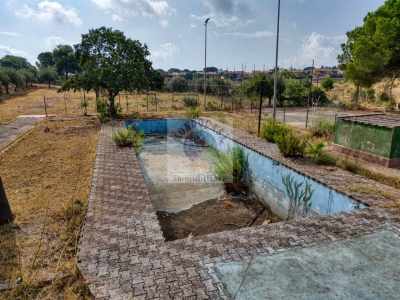 immagine annuncio 2 di 9