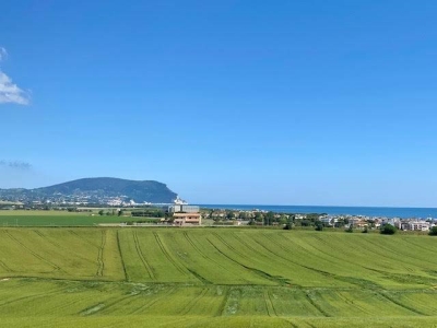immagine annuncio 6 di 9
