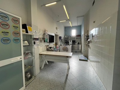 immagine annuncio 4 di 9