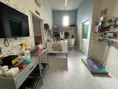 immagine annuncio 8 di 9